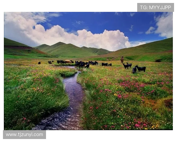 会泽县体育联赛官网（会泽县文化体育广播电视局）sports